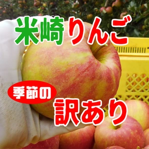 【米崎りんご】訳あり・季節のりんごボックス