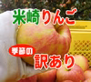 【米崎りんご】訳あり・季節のりんごボックス