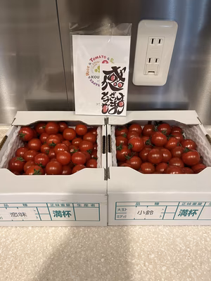 みんなの投稿の画像