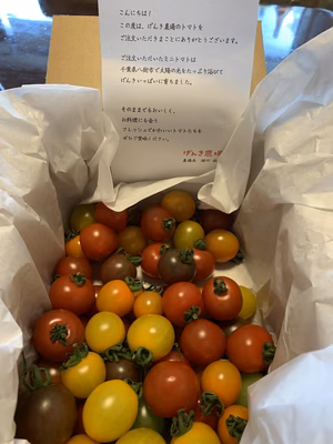 みんなの投稿の画像