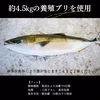 養殖　はまち フィレ２枚