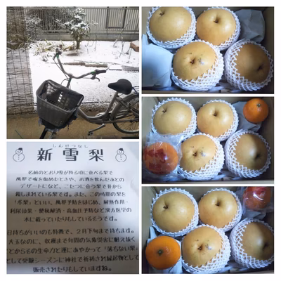 みんなの投稿の画像