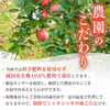 【予約販売】11月発送！「サンふじ」3kg 訳アリ家庭用りんご（7～12玉）
