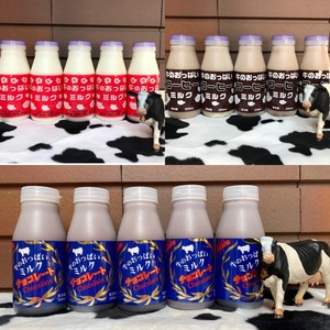 牛のおっぱいミルク5本、コーヒーミルク5本、チョコレートミルク5本セット