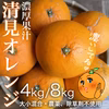 濃いする、清見オレンジ【農薬不使用】