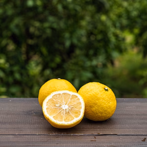 初春の爽やかな甘さをお届け【はるか】