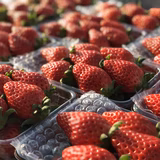 酒井良宗 | 一伍屋