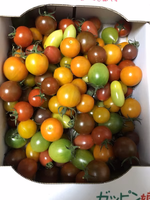 みんなの投稿の画像