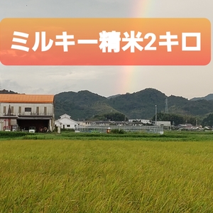 ミルキークィーン精米2キロ