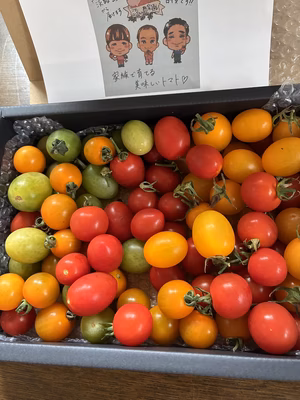 みんなの投稿の画像