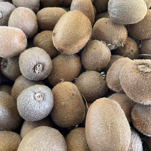 和歌山県【キウイフルーツ】ご家庭用★お試しサイズ