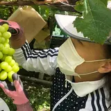 中島克彦