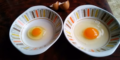 中身を見てびっくり!!初物たまご。