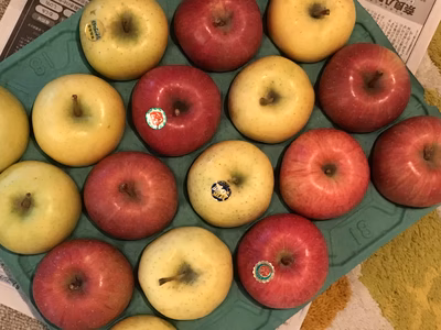 みんなの投稿の画像