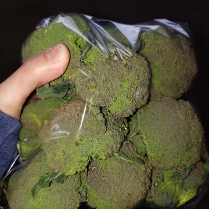 ちびブロッコリーの箱詰め