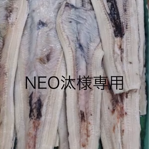 NEO汰様専用