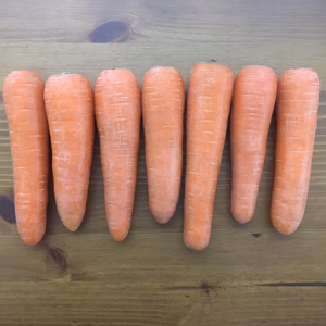 人参（ニンジン）（60サイズ、箱込み2kg）　＜農薬・化学肥料不使用＞