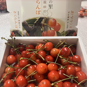 さくらんぼ【紅ゆたか】ご家庭用４００ｇ