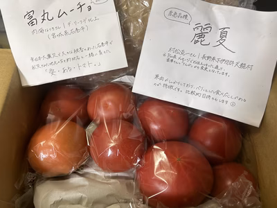 みんなの投稿の画像