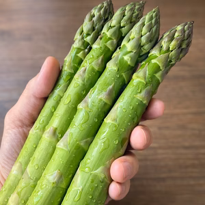 安曇野産 朝採りアスパラ｜極太2L〜4L｜甘くてジューシー｜順次出荷中