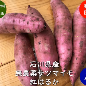 無農薬 サツマイモ 紅はるか 訳あり 1kg、5kg