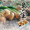 新たまねぎ 淡路島産 兵庫県認証食品 令和5年収穫分