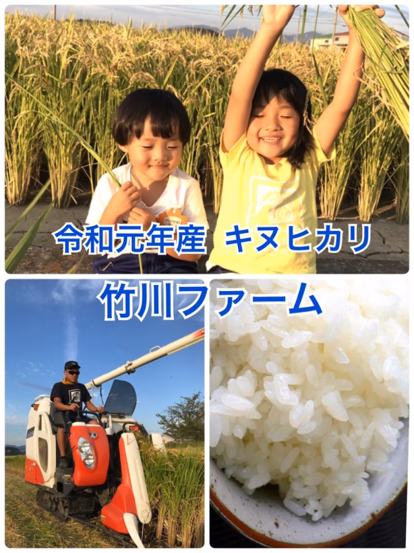 新米！令和元年淡路島産キヌヒカリ100％！10キロ