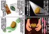 【9月予約】訳ありジャガイモ「キタアカリ」とカボチャのお買い得セット