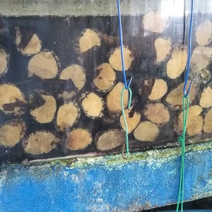 活あわび500g(アワビ５個)