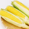 北海道栗山町産 朝どれ濃厚スイートコーン