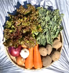 大澤農園お任せ新鮮野菜セット(15種類以上)