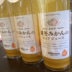 収穫時期にこだわった越冬樹上熟成みかんのピュアジュース　500ml×1