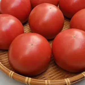 ウエタトマト de ドライトマト&トマトの食べ比べセット