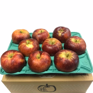 青森りんご【秋映】約2.7Kg加工用　希少品種　スイーツ作りに