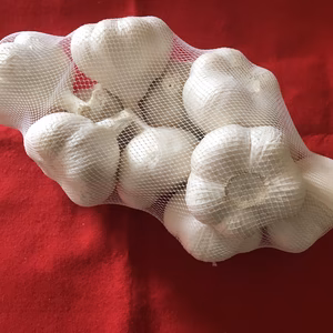 青森県産ホワイト六片種にんにく 大玉 贈答用 令和7年度産【高糖度】