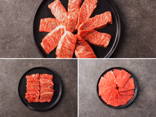 【お試しBOX】[～12/7まで] 里山牛いろいろ焼肉３種 食べ比べセット