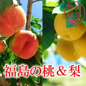 【桃・和梨の予約】福島の完熟桃・梨　おまかせ3ｋｇギフト・贈答用【8月お届け】