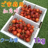 ご家庭用●良品●さくらんぼ紅秀峰 ※クール便7月初旬発送予定