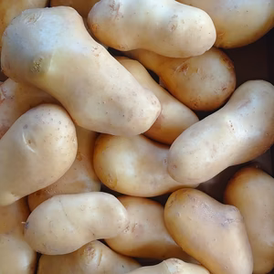 メークイン、初めて創りました。かなり大きいです（笑）