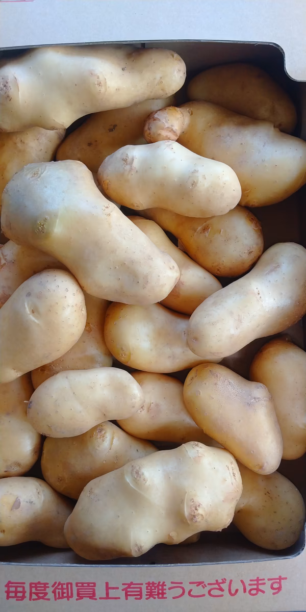 メークイン、初めて創りました。かなり大きいです（笑）