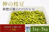 「神の枝豆」だだちゃ豆／ばら詰め 【ポケマルの夏ギフト】