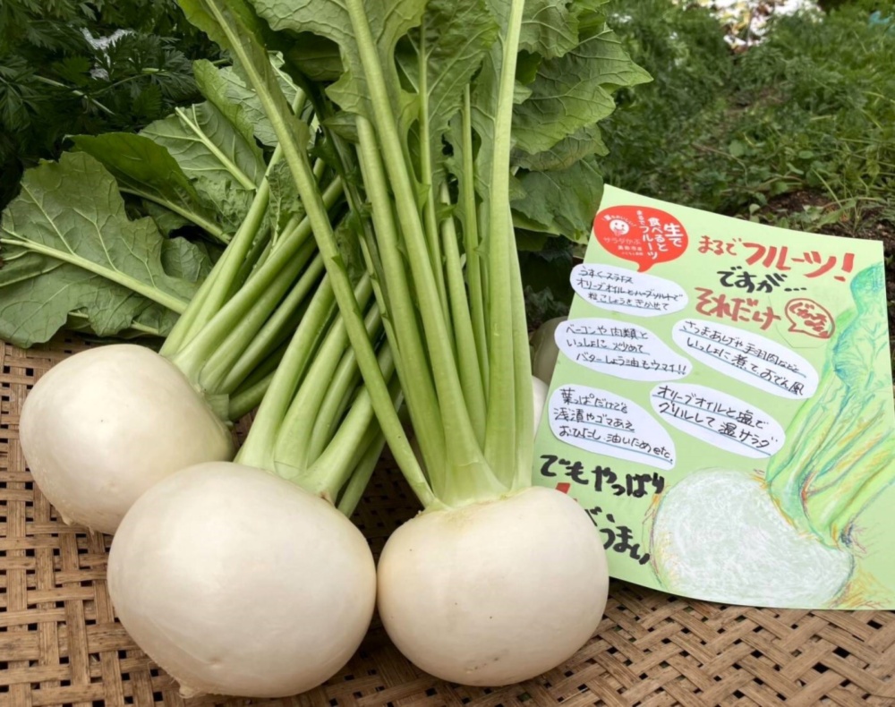 つくし 採れたて土筆 200g - 野菜