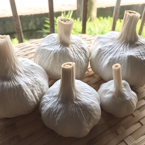 これぞ『夏にピッタリ』! ガツンとくるにんにく