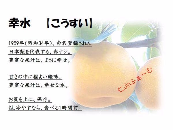 幸せな水、長野県産【幸水こうすい】梨。