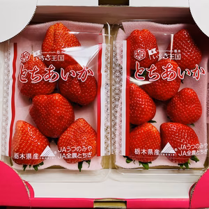 5箱限定価格！！朝採り完熟とちあいか