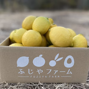 【有機JAS認証！】オーガニックレモン　国産（広島県産）