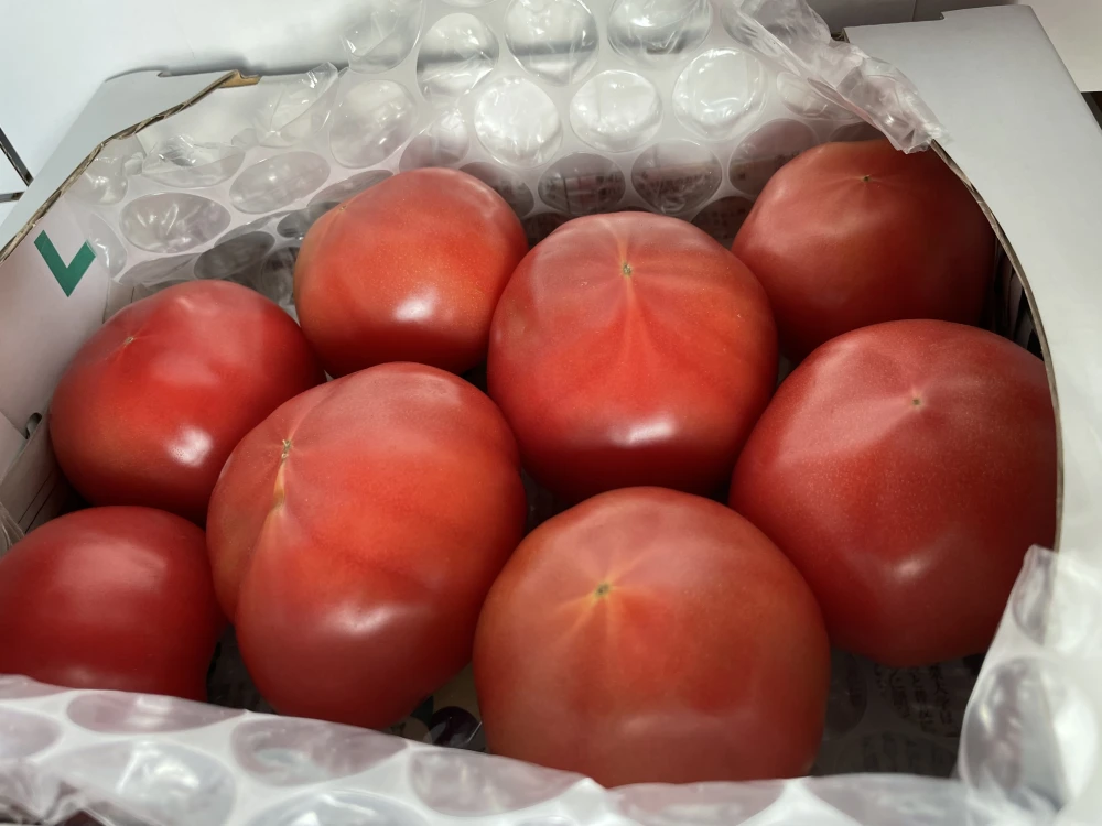 【今が旬】ずっしり！あまーい！桃太郎トマト2kg箱♡食べたらトリコ