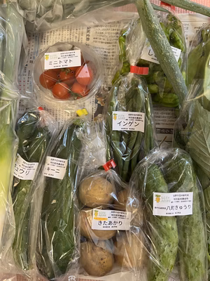 みんなの投稿の画像