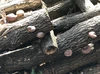天然原木栽培椎茸　本日は限定 1名様　約600g 秩父からお届けします
