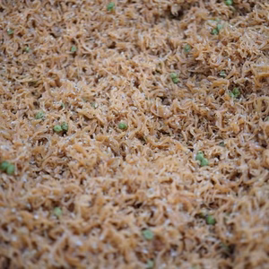 ちりめん山椒を作りたい方に小さいサイズのちりめんたっぷり１キロ